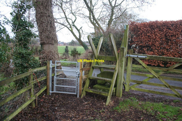 Photo 6"x4" Multiple crossing Manley\/SJ5071 c2016