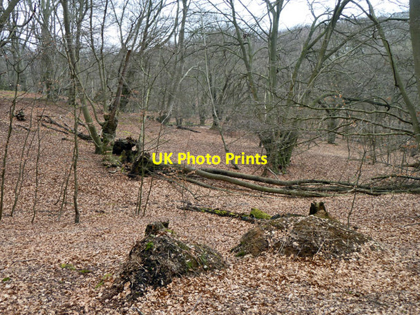 Photo 6"x4" In Epping Forest Debden Green\/TQ4398 c2013