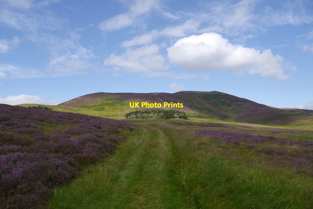 Photo 6"x4" Broughton to Stobo path Stobo c2015