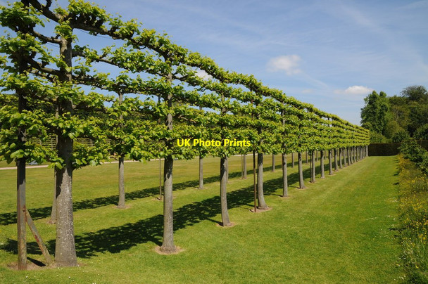 Photo 6"x4" Garden at Erddig Wrexham\/Wrecsam c2015