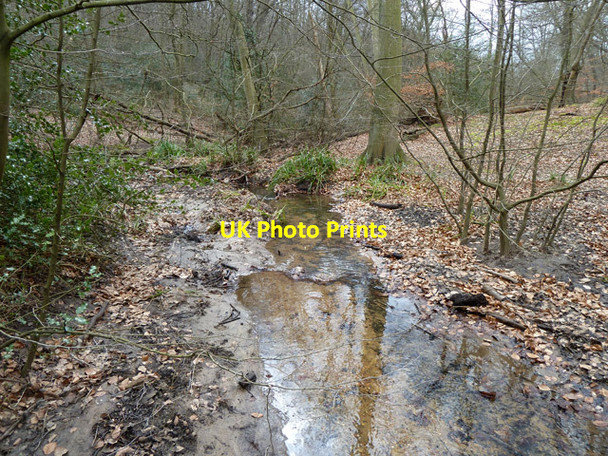 Photo 6"x4" Stream in Epping Forest Loughton\/TQ4396 c2013