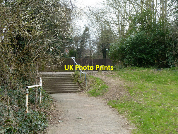 Photo 6"x4" Steps on Stony Path, Loughton Loughton\/TQ4396 c2013