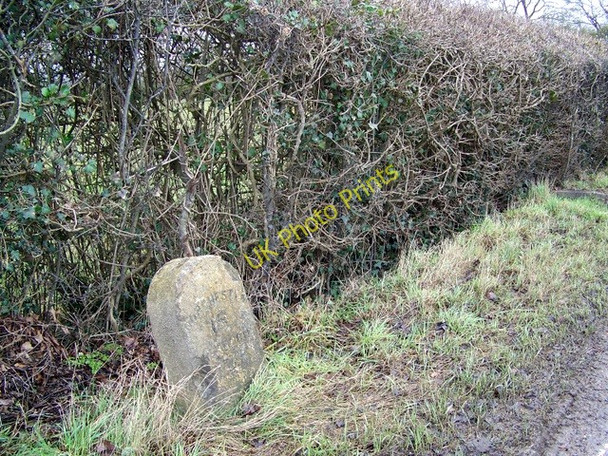Photo 6"x4" Milestone, Holnest Longburton c2009