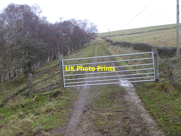 Photo 6"x4" Gate on the Long Drag Rawgreen c2016
