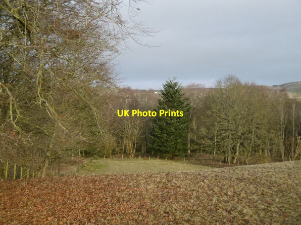 Photo 6"x4" Field edge, Reswallie East Mains of Burnside c2016