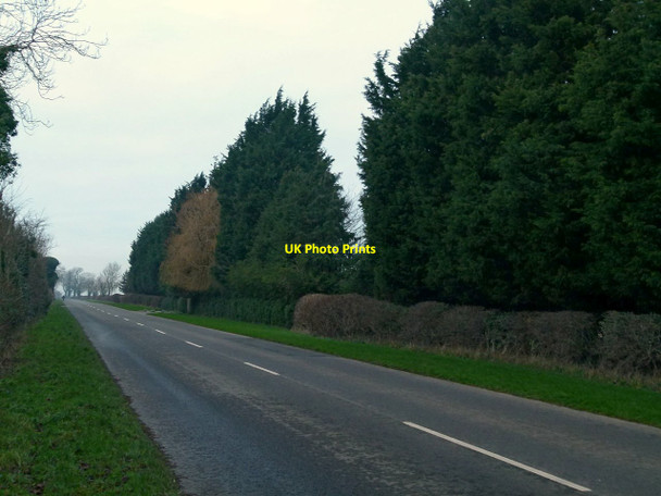 Photo 6"x4" Fosse Lane, at White House Stretton\/SK9415 c2016
