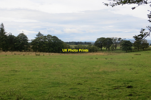 Photo 6"x4" Field, Hartfield Shillford c2015