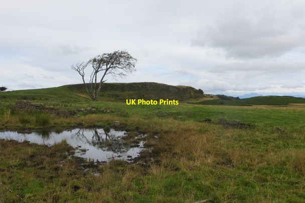Photo 6"x4" Walls Hill Howwood c2015