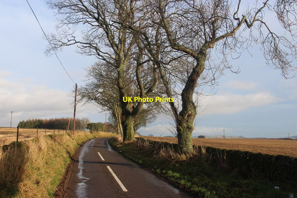 Photo 6"x4" The road to Ballinshoe Kirriemuir c2016