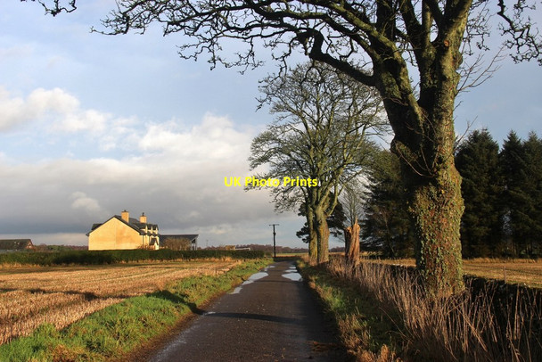 Photo 6"x4" Solitary house at the Haughs of Ballinshoe Padanaram c2016