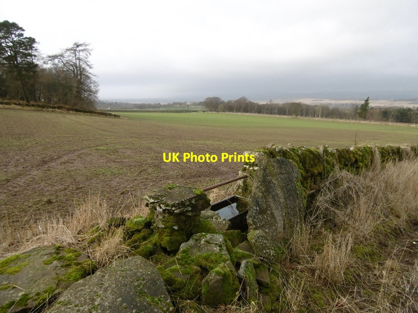 Photo 6"x4" Field beside Ardovie Quarry Brechin c2016