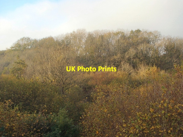 Photo 6"x4" Cwm y Gaer in autumn (5) Tythegston c2015