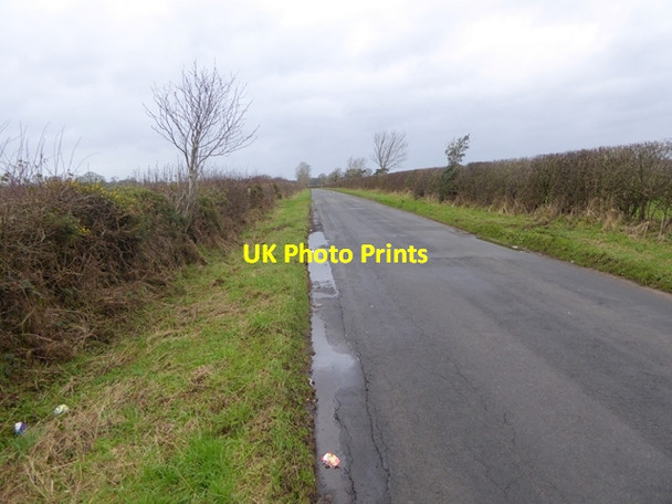 Photo 6"x4" The road to Great Orton Cardewlees c2016
