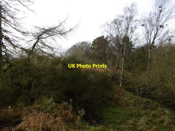 Photo 6"x4" Summit, Ardovie Brechin c2016