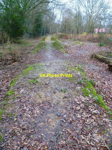 Photo 6"x4" Dirt jumps west of Broadbridge Heath Road Broadbridge Heath c2016