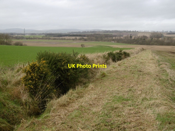 Photo 6"x4" A farm track Netherton\/NO5457 c2016