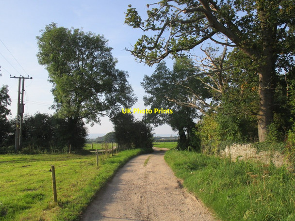 Photo 6"x4" Footpath to Park Mill Farm Thornbury\/ST6490 c2014