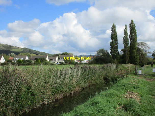 Photo 6"x4" The Cheddar Yeo and houses at Cross Cross\/ST4154 c2015