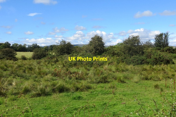 Photo 6"x4" Rough grazing near Beith The Den c2015