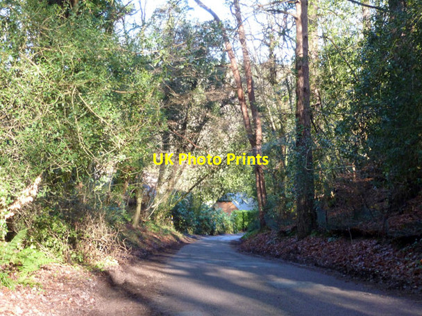 Photo 6"x4" Gentles Lane Headley Down c2016