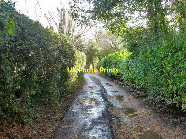 Photo 6"x4" Headley Fields Arford c2016