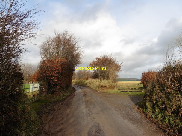 Photo 6"x4" Lane to Heasley Cross Heasley Mill c2016