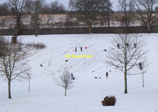 Photo 6"x4" Sledging in Hay Lodge Park, Peebles Peebles\/NT2540 c2016
