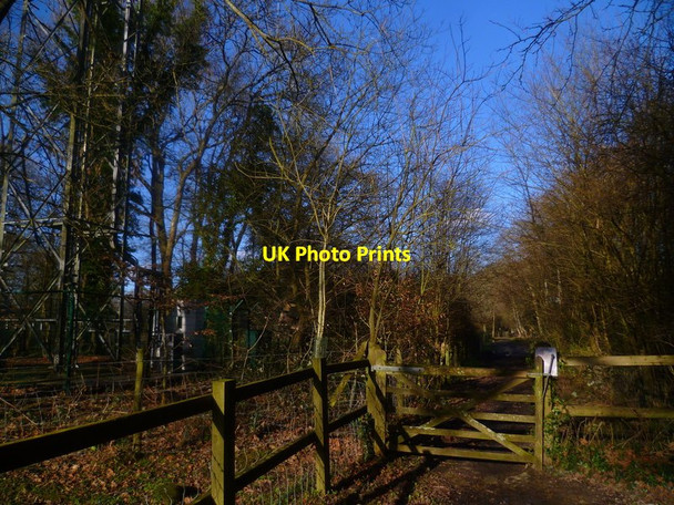 Photo 6"x4" Bridleway called Cook's Lane goes north Rapkyns c2016