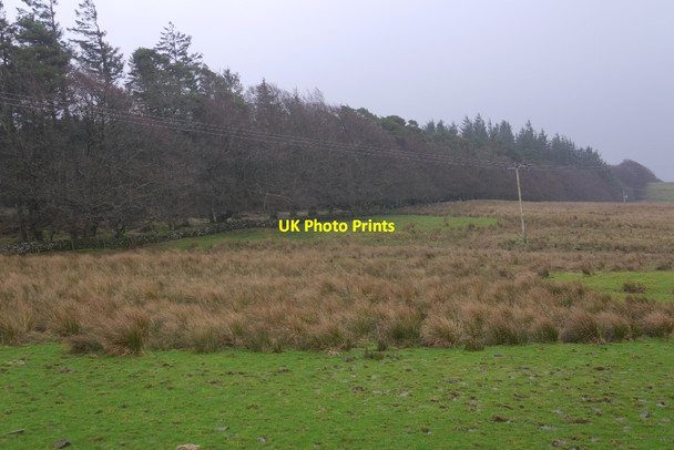 Photo 6"x4" A damp pasture, Borthwickshiels Roberton\/NT4214 c2016