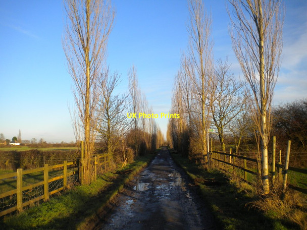 Photo 6"x4" Track north of Kinoulton (2) Kinoulton c2016