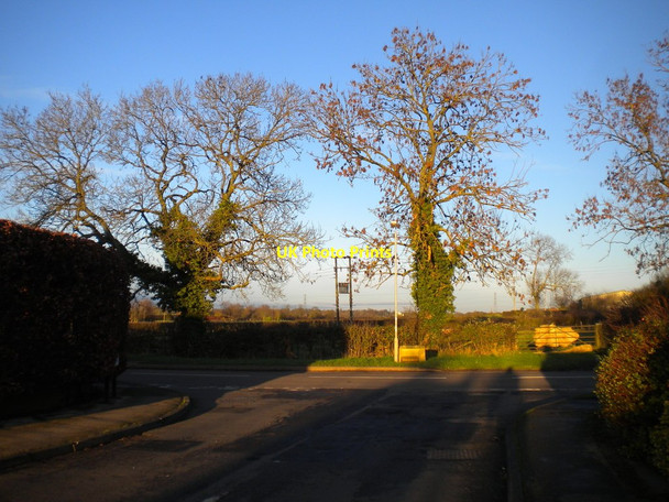 Photo 6"x4" Trees at the end of Newbold Way, Kinoulton Kinoulton c2016