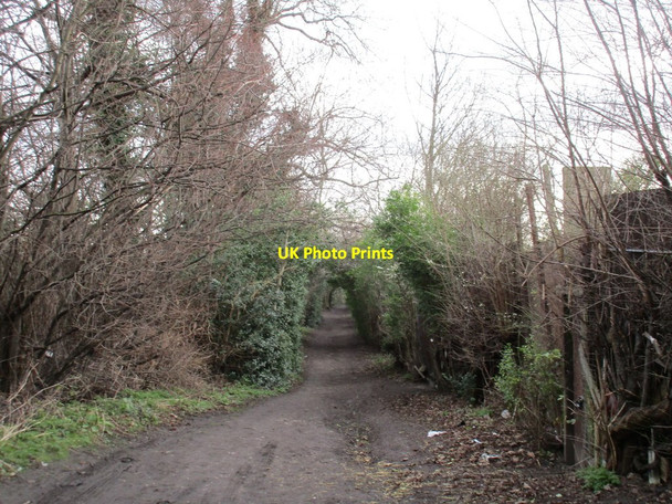 Photo 6"x4" Footpath by the allotments Handsworth\/SK4086 c2016