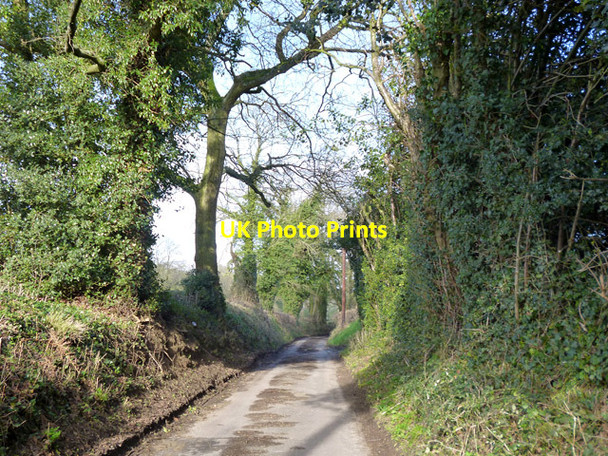 Photo 6"x4" Smithfield Lane Hearn c2016