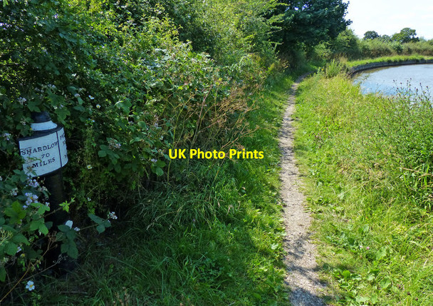 Photo 6"x4" Trent & Mersey Canal Milepost along the towpath Sandbach c2015