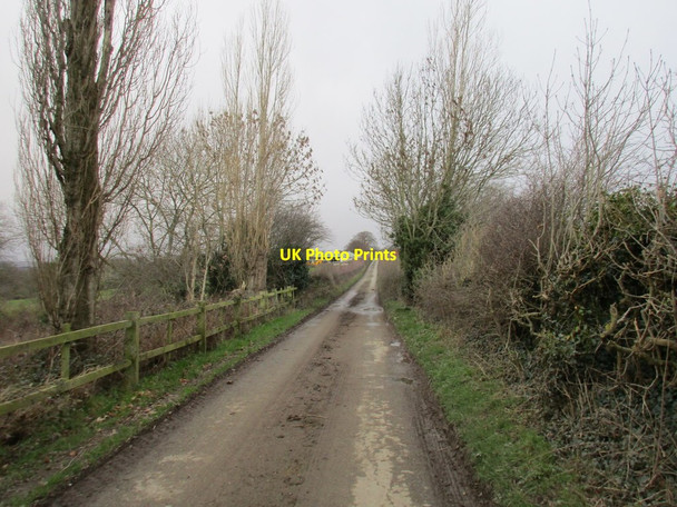 Photo 6"x4" Hazelhurst Lane Charnock Hall c2016