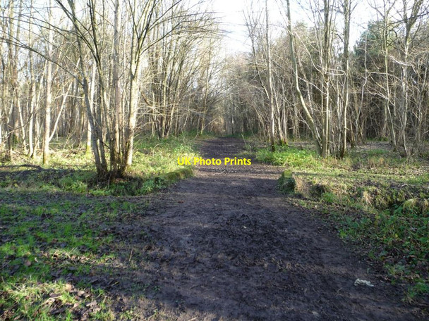 Photo 6"x4" Path heading north-east across Main Drain Biggin\/SE5434 c2016