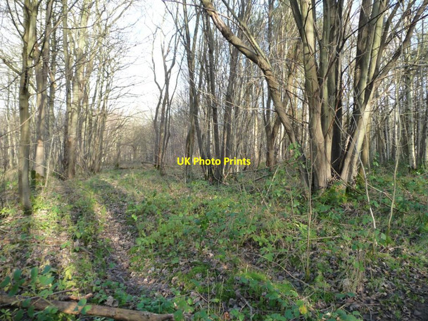 Photo 6"x4" Barley Close, Bishop Wood Biggin\/SE5434 c2016