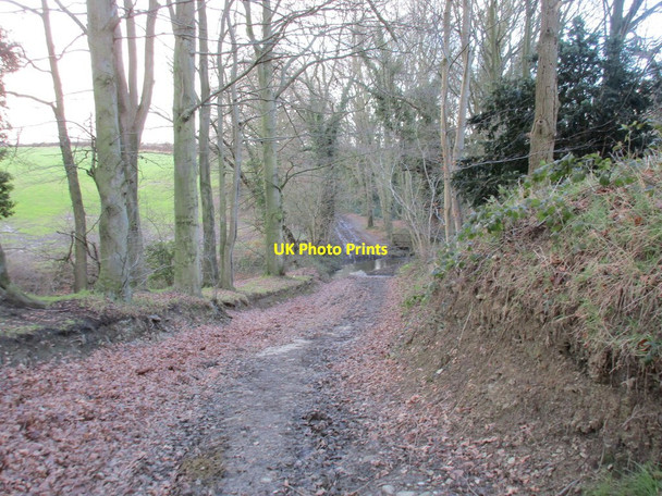 Photo 6"x4" Owler Car Lane approaching the ford through The Moss Birleyhay c2016