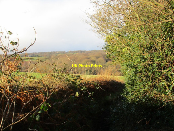 Photo 6"x4" Entrenched path Dronfield c2016