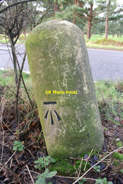 Photo 6"x4" Benchmark on milestone beside A338 Frilford c2016