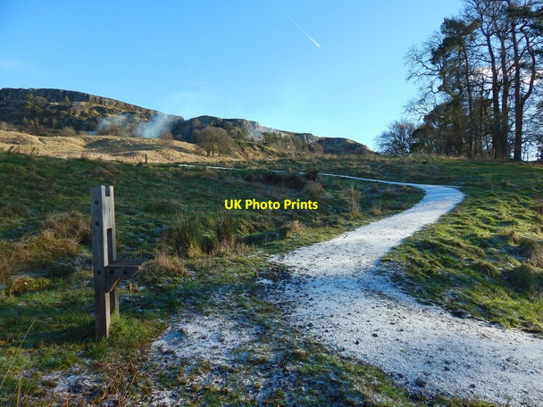 Photo 6"x4" Path in Lang Craigs Woodland Dumbarton c2016