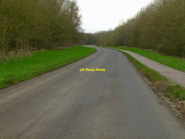 Photo 6"x4" Road to Hambleton Upper Hambleton c2016
