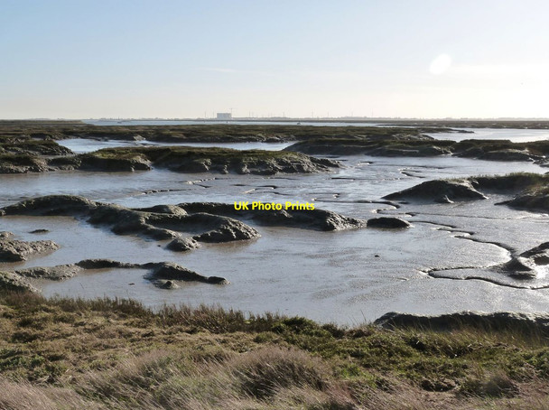 Photo 6"x4" View across the saltmarsh at Old Hall Marshes Nature Reserve Salcott-cum-Virley c2016