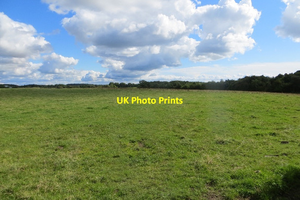 Photo 6"x4" Pasture, South Fergushill Kilwinning c2015