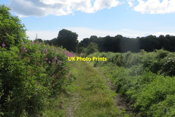 Photo 6"x4" Track to Eglinton Kilwinning c2015