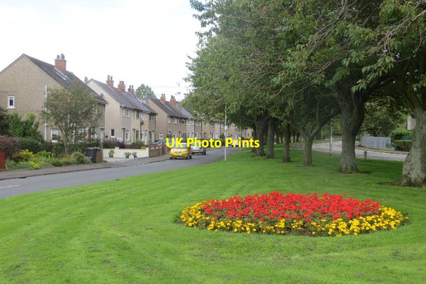 Photo 6"x4" Mackinnon Terrace, Irvine Irvine c2015