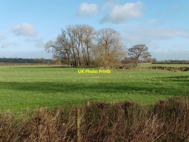 Photo 6"x4" Pasture, alongside the Fivehead River Fivehead c2016