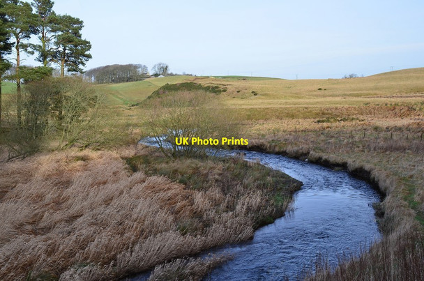Photo 6"x4" The Fullarton Water Rosebery c2016