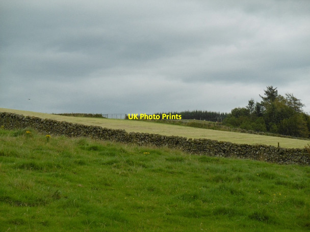 Photo 6"x4" Fields by Lagganlees Mansegate c2015