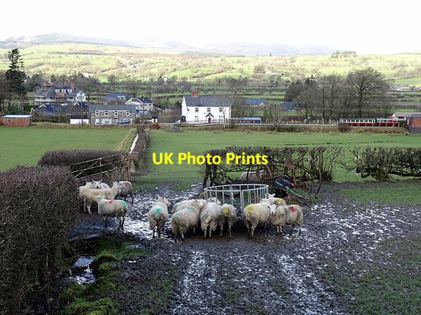Photo 6"x4" Lunch time! Pandy\/SH8729 c2016